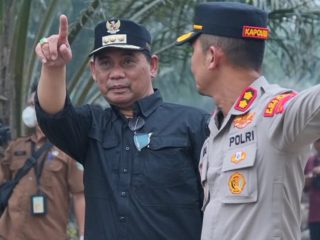 Bupati Barito Utara Tinjau Jembatan Lemo, Cek Penanganan Karhutla di Teweh Selatan